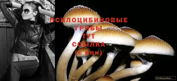 альфа пвп VHQ Богданович
