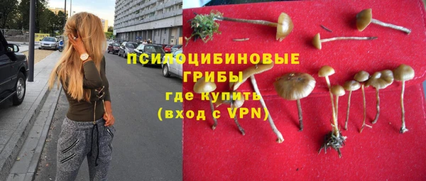MDMA Богородск