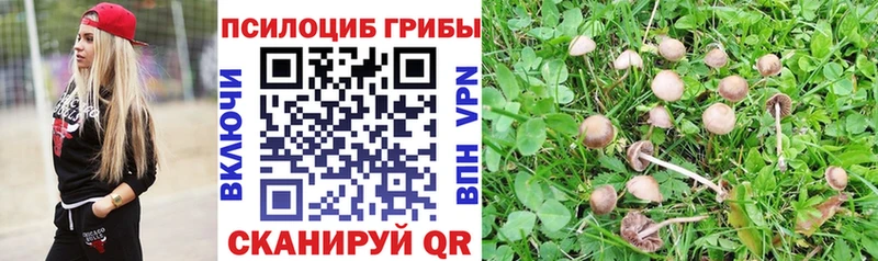Галлюциногенные грибы ЛСД  наркота  Белорецк 
